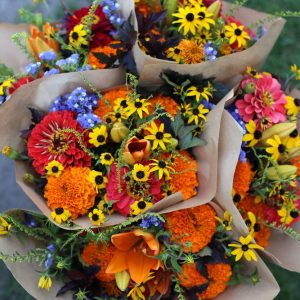 Romantic Garden Roses